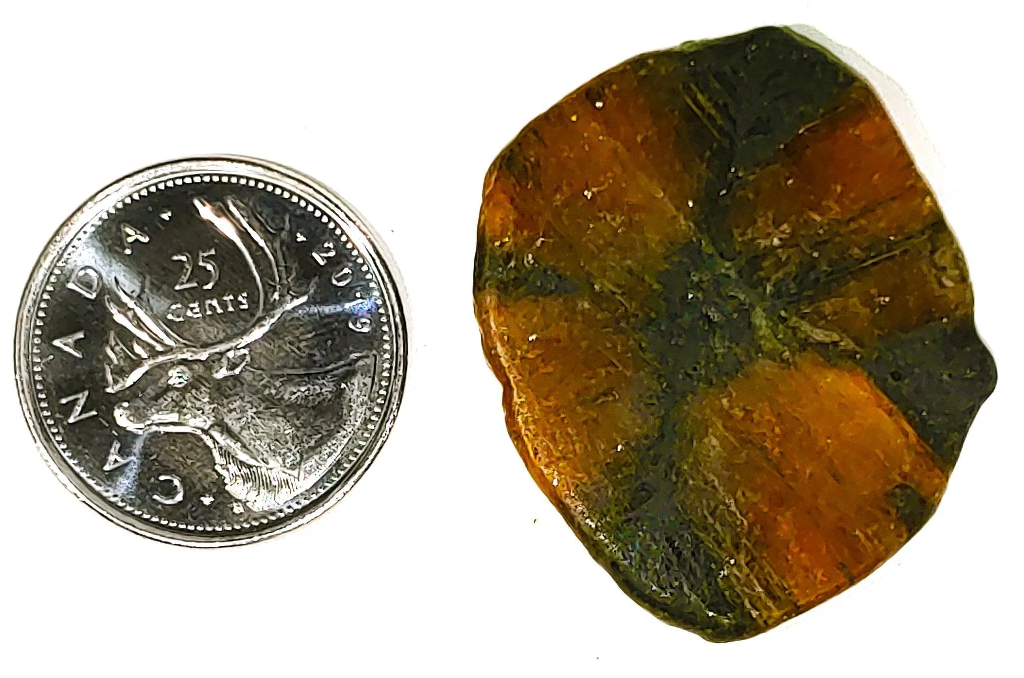 Chiastolite - Cabochon