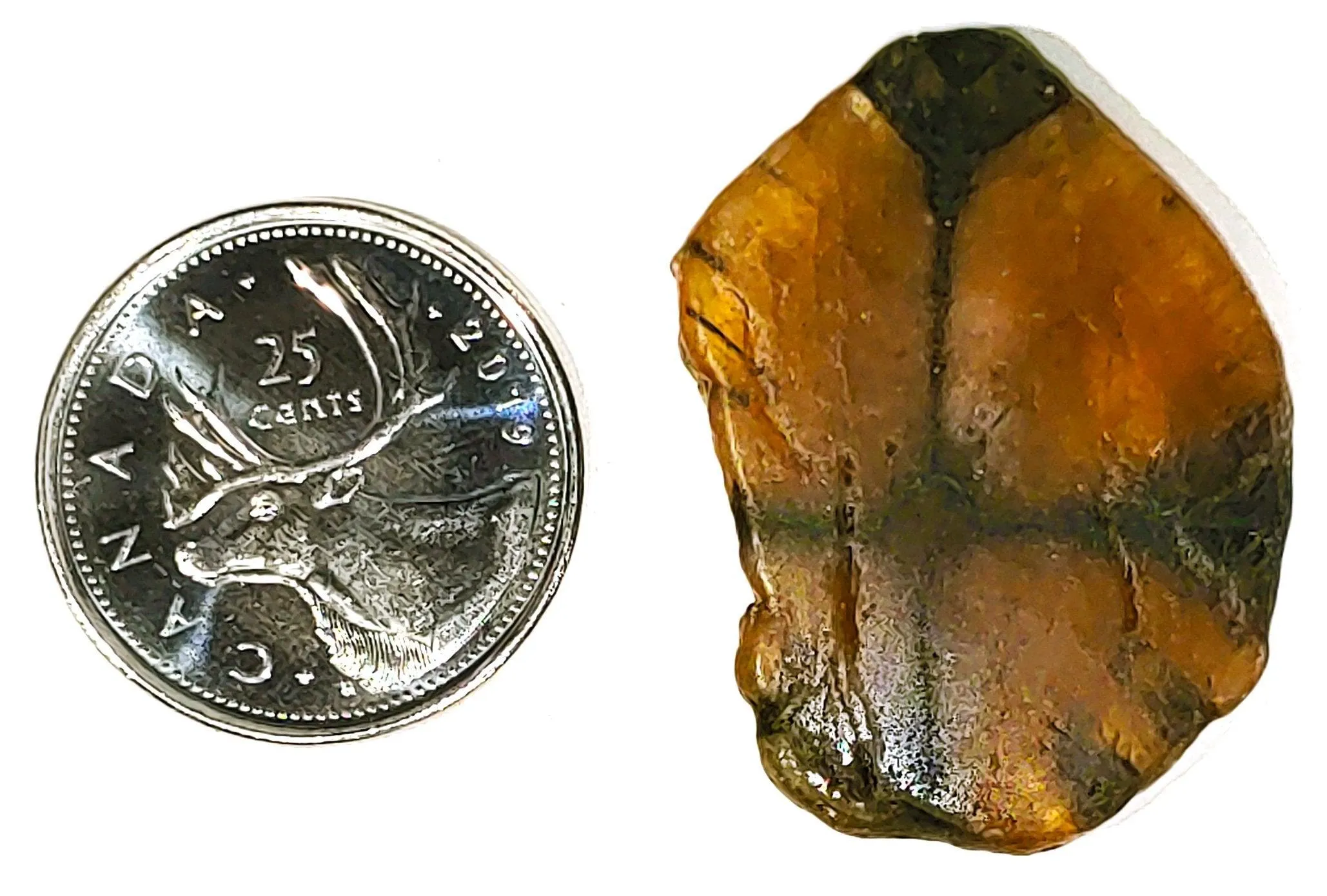 Chiastolite - Cabochon