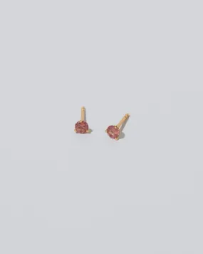 Martini Stud Earrings - Coral Sapphire